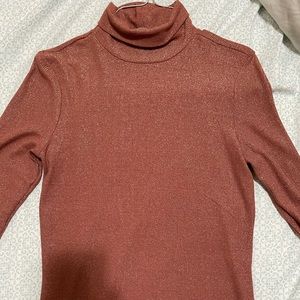 Sparkly turtle neck. Dark, peachy color with gold sparkles. Worn once!